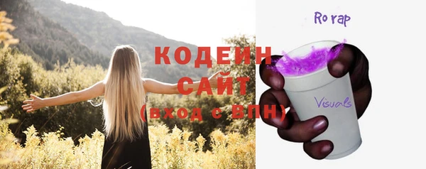 хмурый Алзамай
