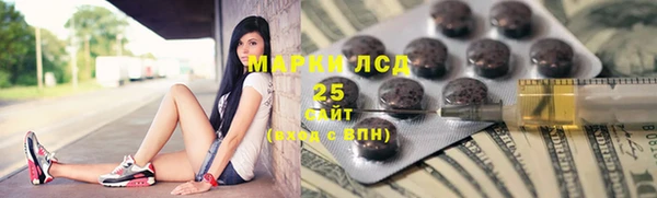 хмурый Алзамай