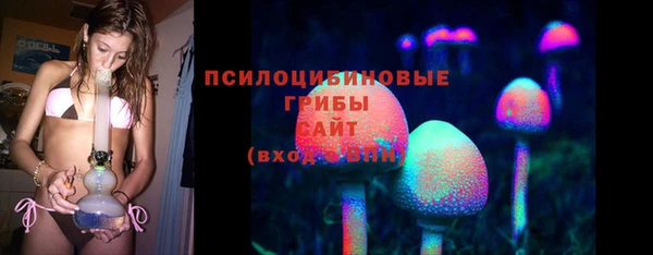 хмурый Алзамай